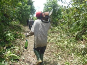 SENSO YANG DIGUNAKAN UNTUK MEMOTONG KAYU DAN POHON