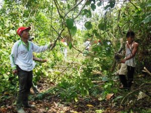 JALAN YANG MASIH DIPENUHI DENGAN POHON-POHON  SERTA RANTINR-RANTING YANG MENJALAR
