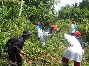 JALAN YANG MASIH DIPENUHI RUMPUT-RUMPUT