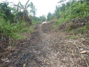 JALAN YANG SUDAH DIBERSIHKAN  RELAWAN DESA TERUSAN RAYA BERSERTA MASYARAKAT DESA TERUSAN RAYA